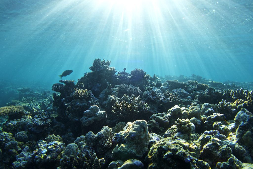 The Houtman Abrolhos