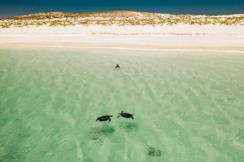 Sandbanks National Park