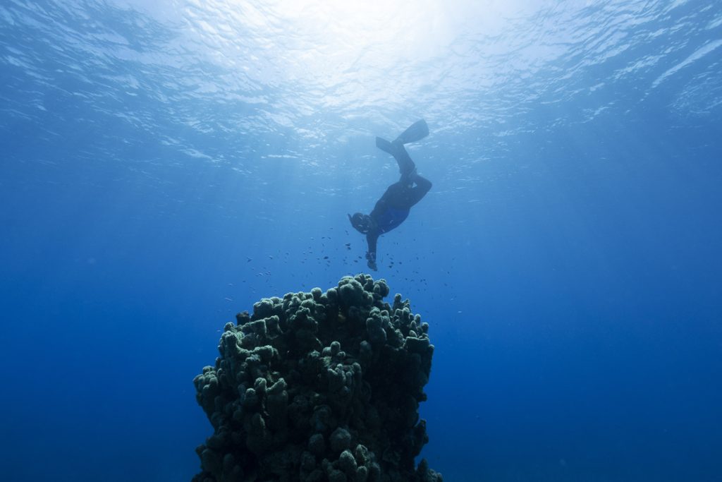 Ningaloo Reef