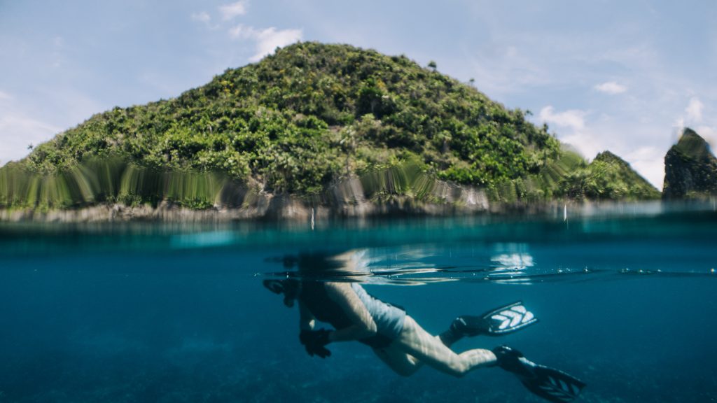 Roon Island