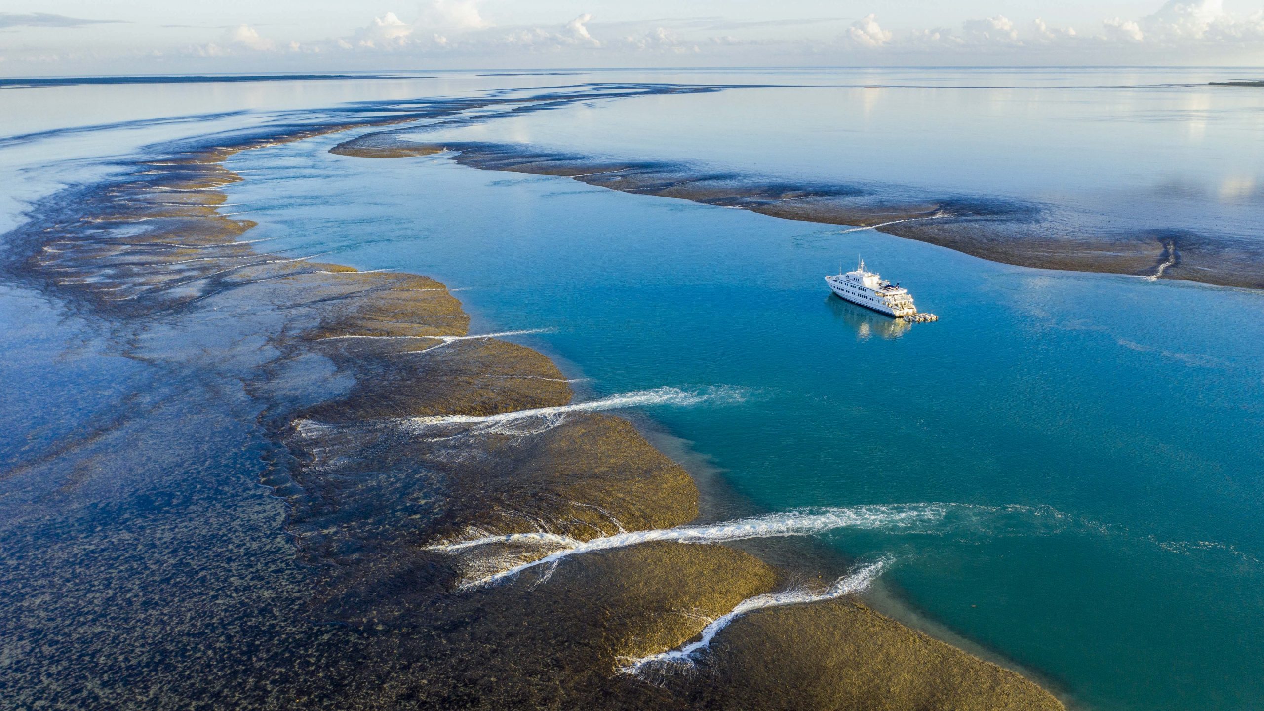 True North Kimberley Cruise Montgomery Reef