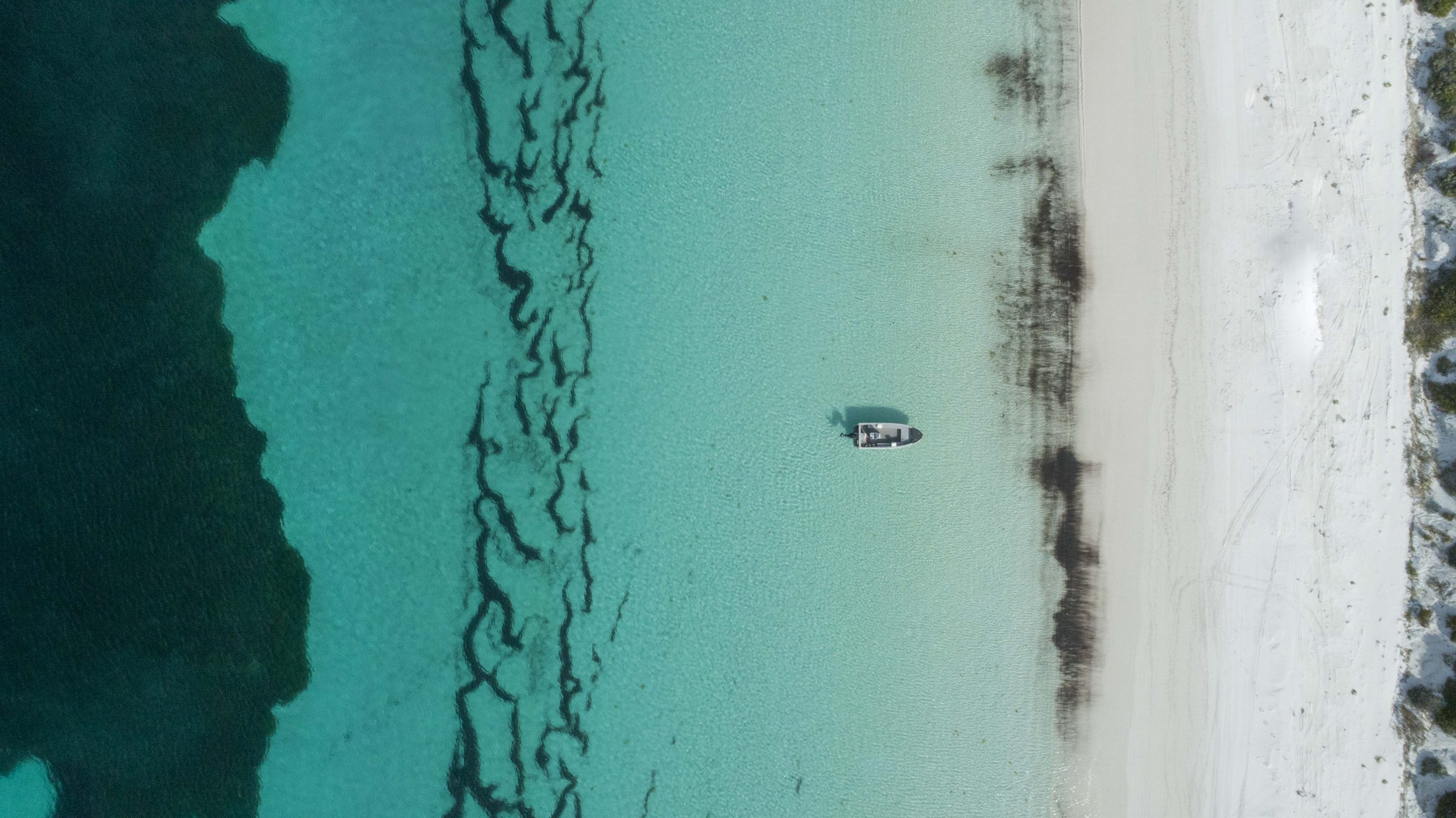 Agent Image Gallery 23 TrueNorth Australia SWCoast 2021 0027 scaled
