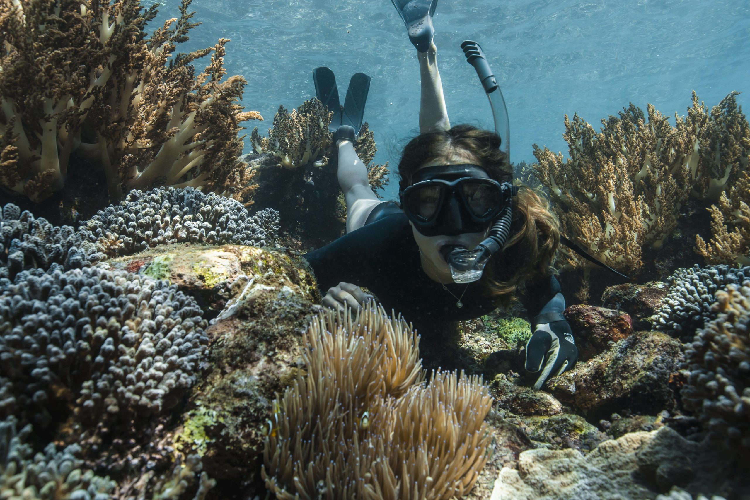 Agent Image Gallery 253 TrueNorth DIVE SNORKEL website 2021 9986 scaled