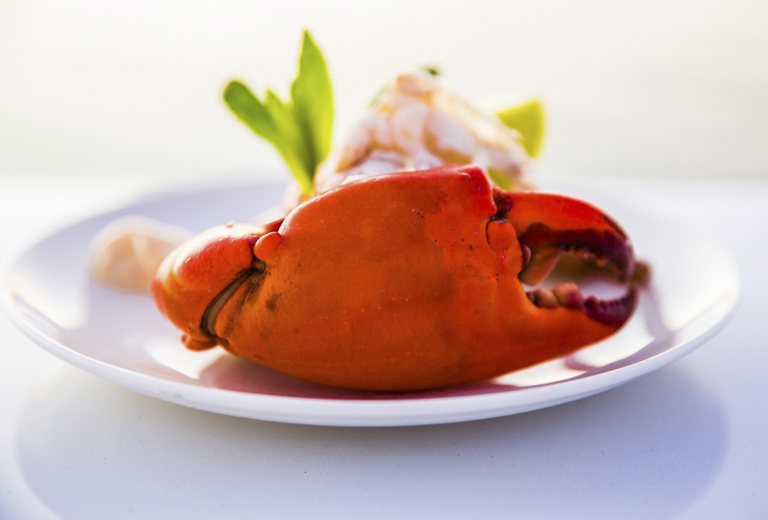 Agent Image Gallery 261 TrueNorth Food Cruise 2016