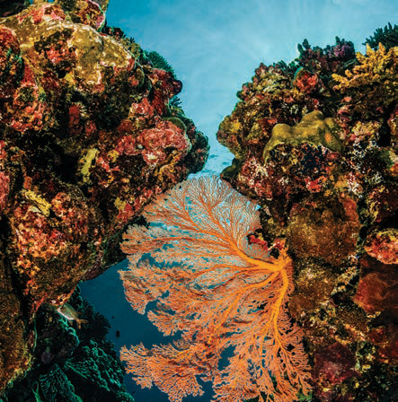 The Whitsundays